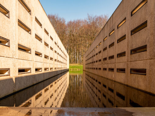 Waterloopbos